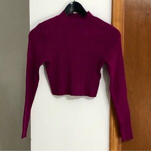 Forever 21 Magenta Ribbed Crop Top